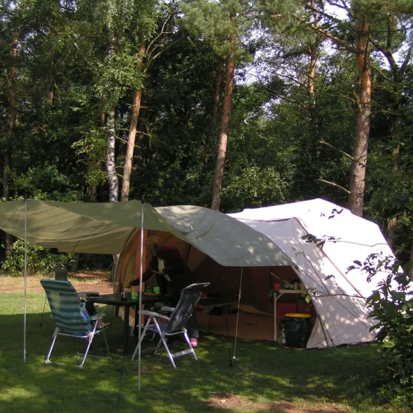 de-harskamperdennen-kootwijk-7z5i7