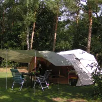 de-harskamperdennen-kootwijk-7z5i7