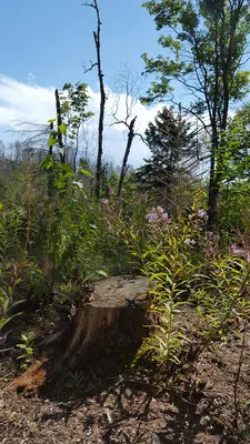 mouth-of-two-hearted-river-state-forest-campground-newberry-aymex