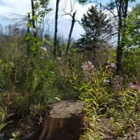 mouth-of-two-hearted-river-state-forest-campground-newberry-aymex
