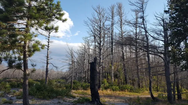 mouth-of-two-hearted-river-state-forest-campground-newberry-i7tu6