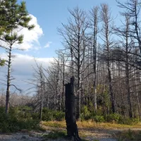mouth-of-two-hearted-river-state-forest-campground-newberry-i7tu6