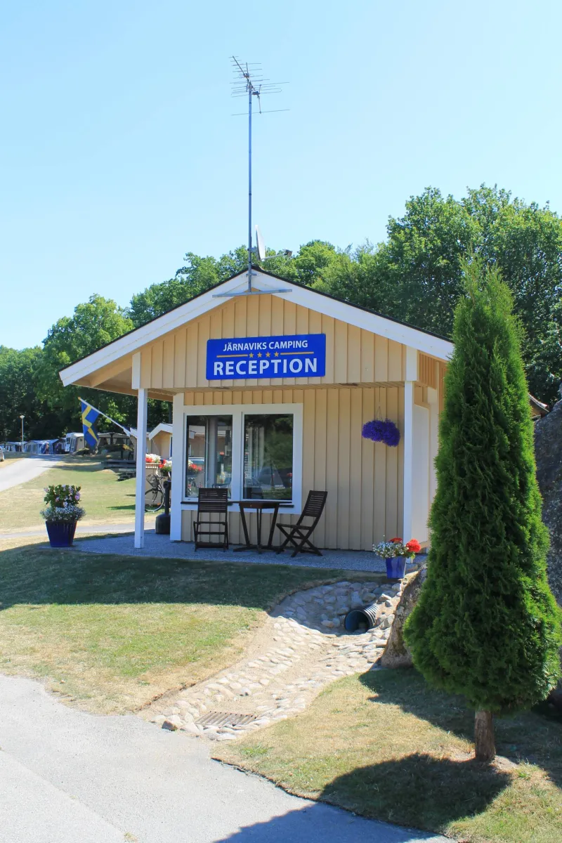 Rezeption