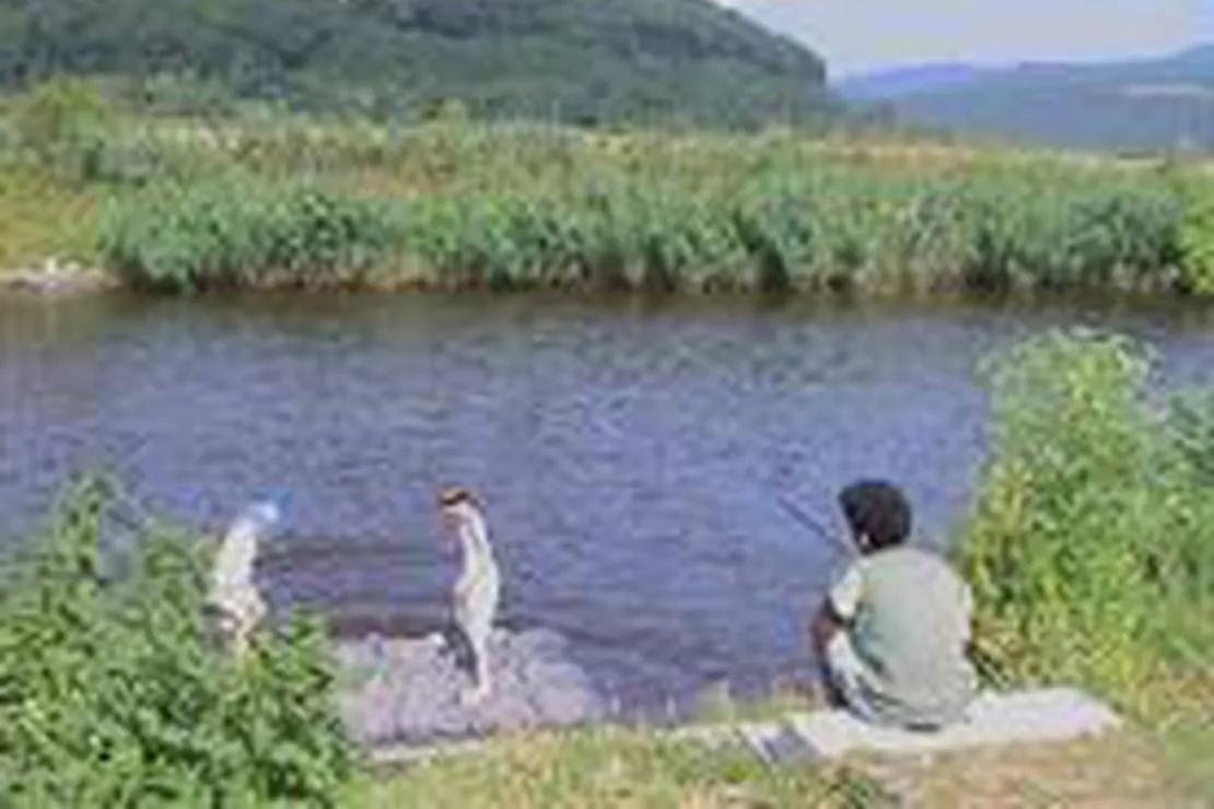 camping-oase-wahlhausen-bei-allendorf-myoks