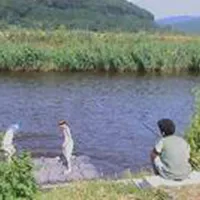 camping-oase-wahlhausen-bei-allendorf-myoks