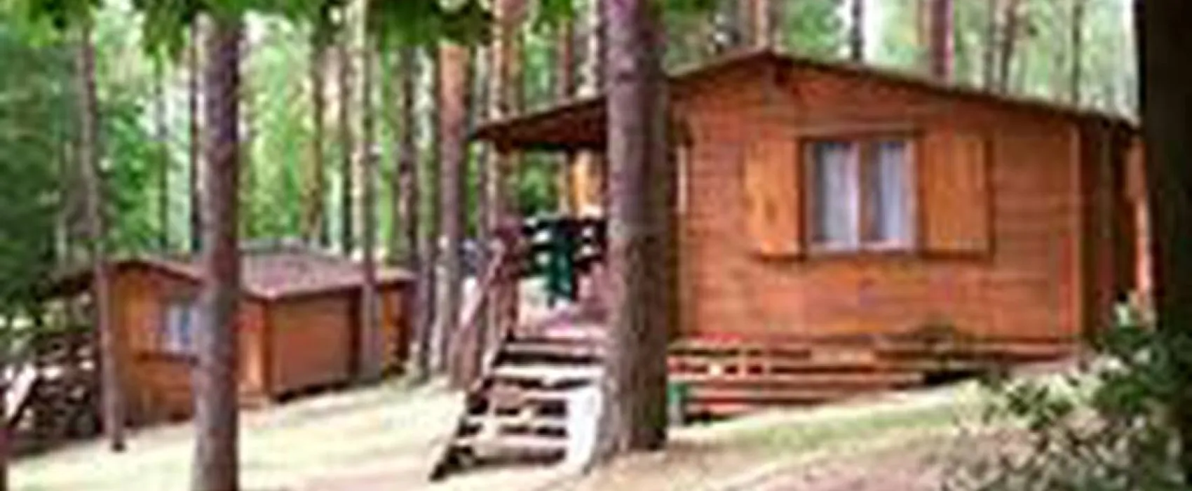 Camping Cezar