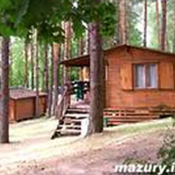 camping-cezar-mragowo-67bio