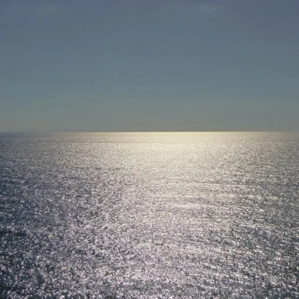 dibarron-st-peacutee-sur-nivelle-zzwsc