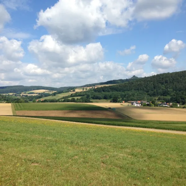 seepark-kirchheimhessen-ob1u0