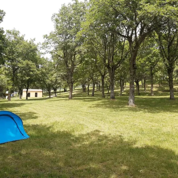 camping-de-grange-neuve-mornans-mt29e
