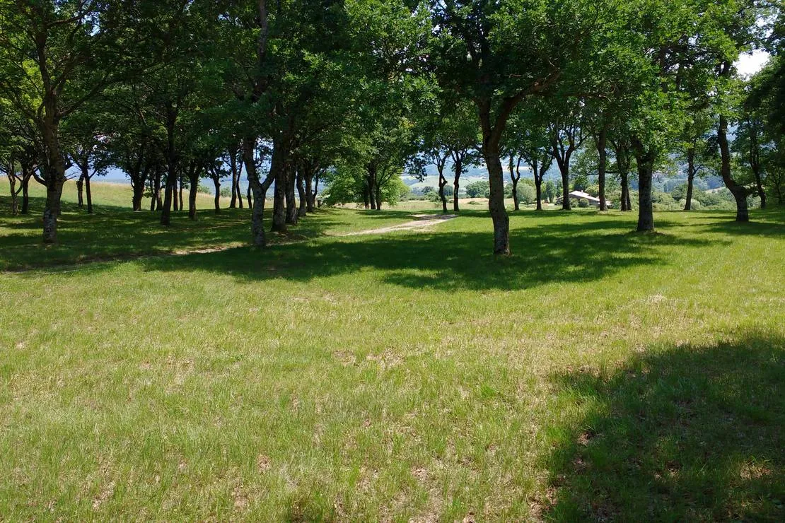 camping-de-grange-neuve-mornans-x1q2y