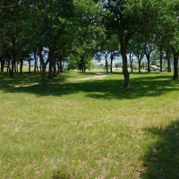 camping-de-grange-neuve-mornans-x1q2y