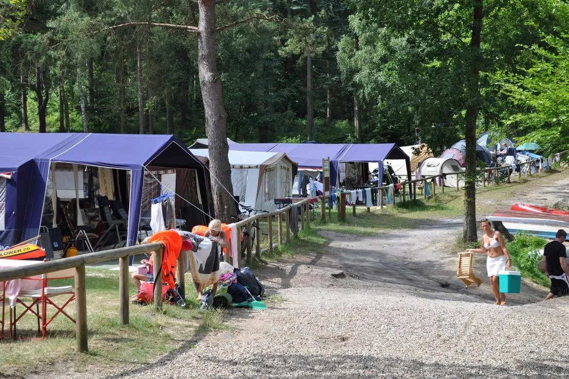skyttehusets-camping-cafe-silkeborg-rnuut
