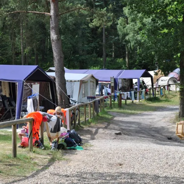 skyttehusets-camping-cafe-silkeborg-rnuut
