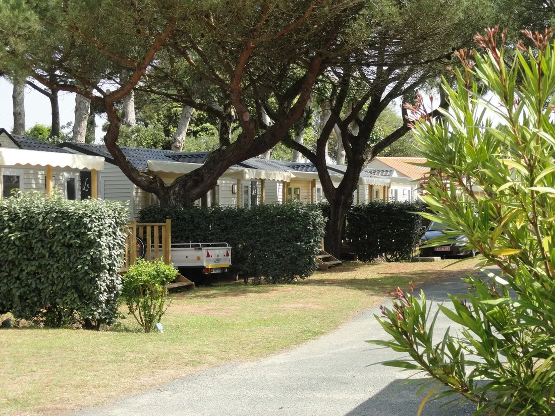 la-baie-d-aunis-la-tranche-sur-mer-vendee-wpbxj