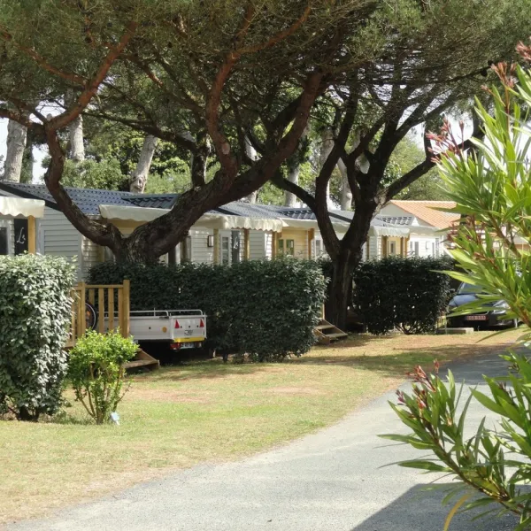 la-baie-d-aunis-la-tranche-sur-mer-vendee-wpbxj