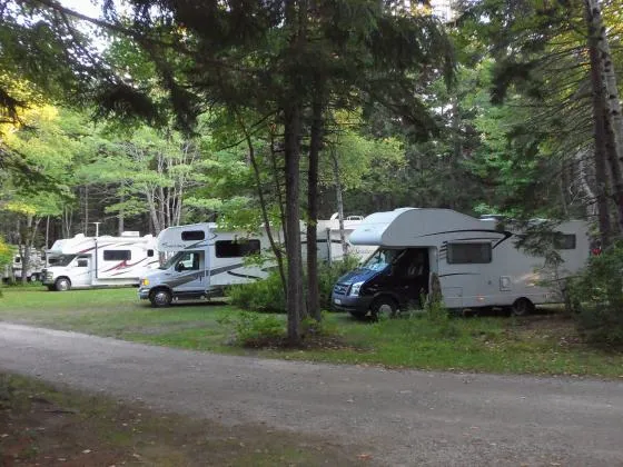sherwood-forest-campsite-cabins-new-harbor-q34ls