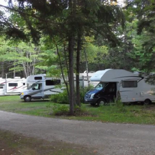 sherwood-forest-campsite-cabins-new-harbor-q34ls