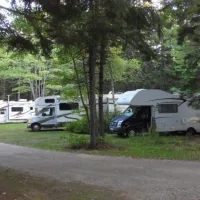 Sherwood Forest Campsite & Cabins