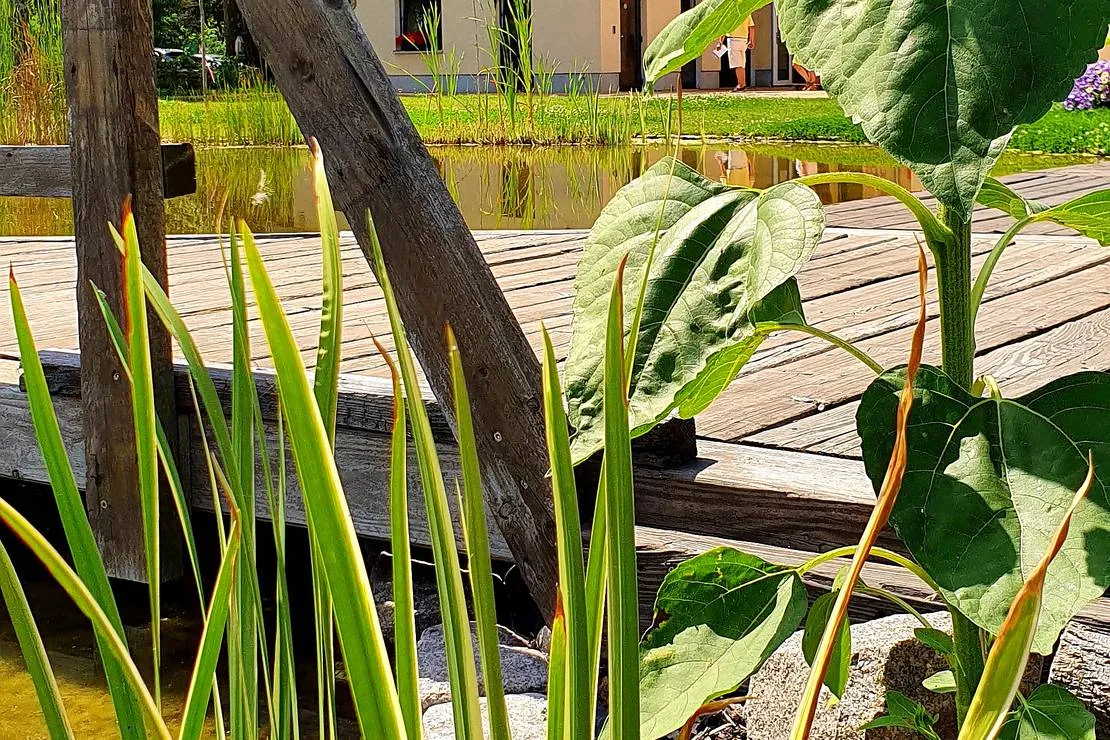 stadtmarina-brandenburg-brandenburg-an-der-havel-fdwfy