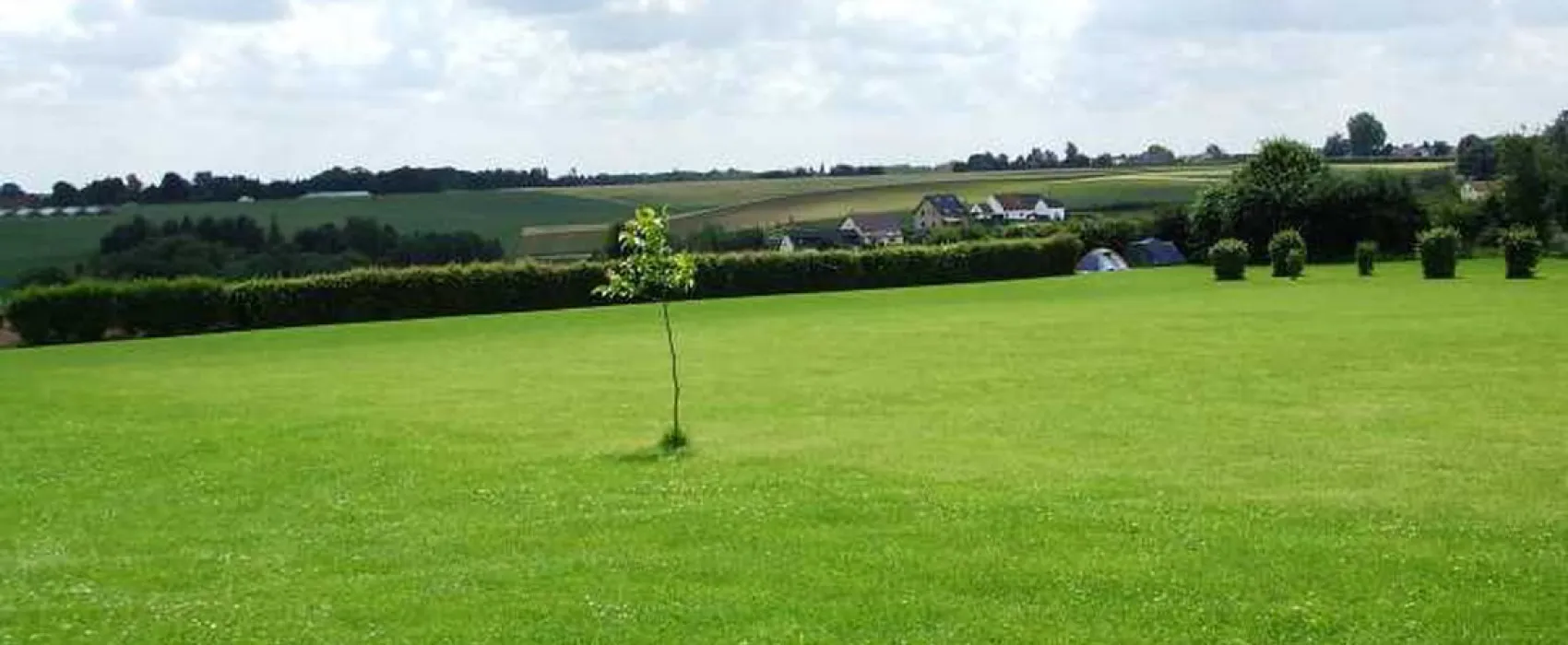 Camping Druivenland