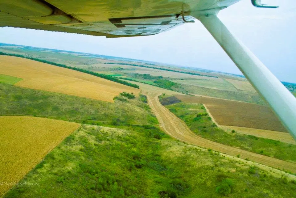 from above