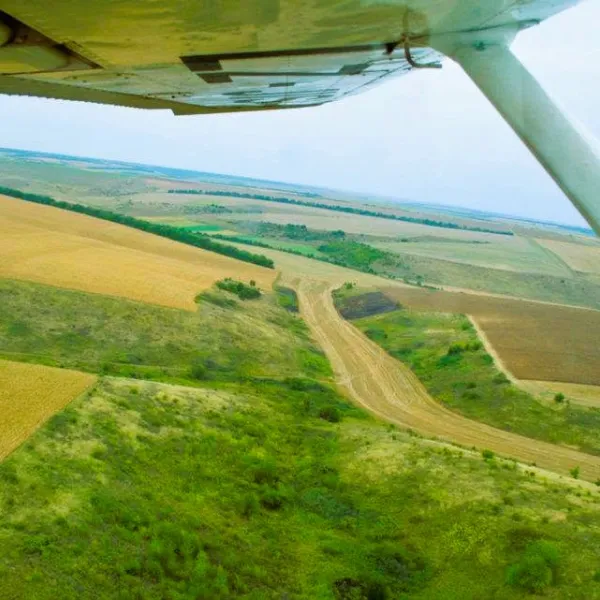 from above