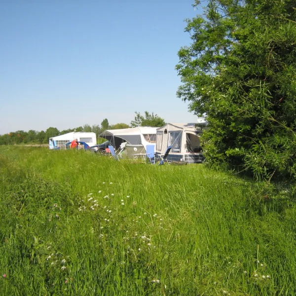 minicamping-polderland-mookhoek-2a4vx