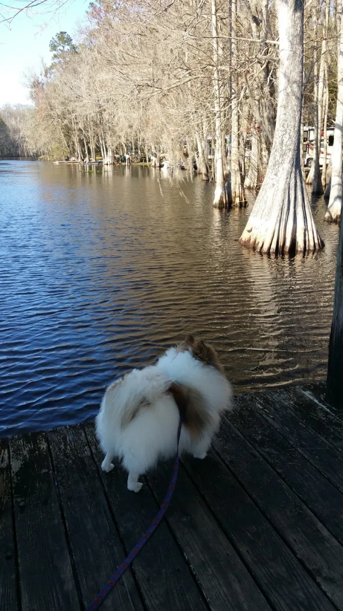 riverside-park-bushnell-l1ook