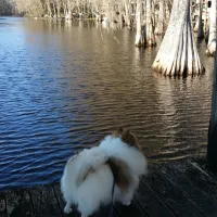 Riverside Park