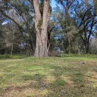 riverside-park-bushnell-urwbo