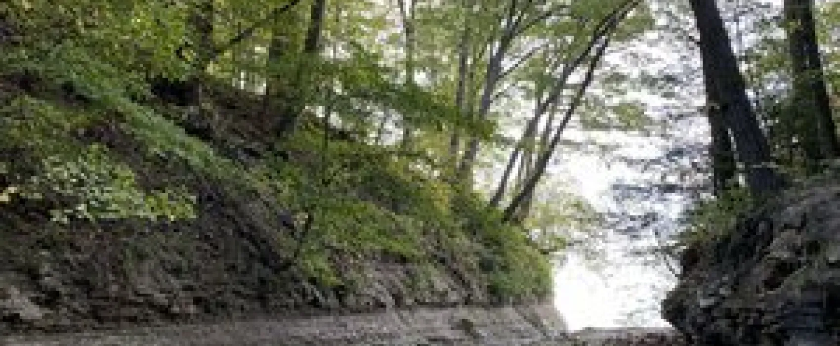 Westfield Lake Erie Kampground