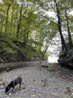 westfield-lake-erie-kampground-westfield-kukas