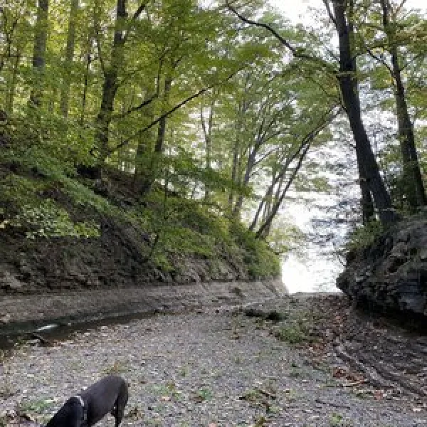 westfield-lake-erie-kampground-westfield-kukas