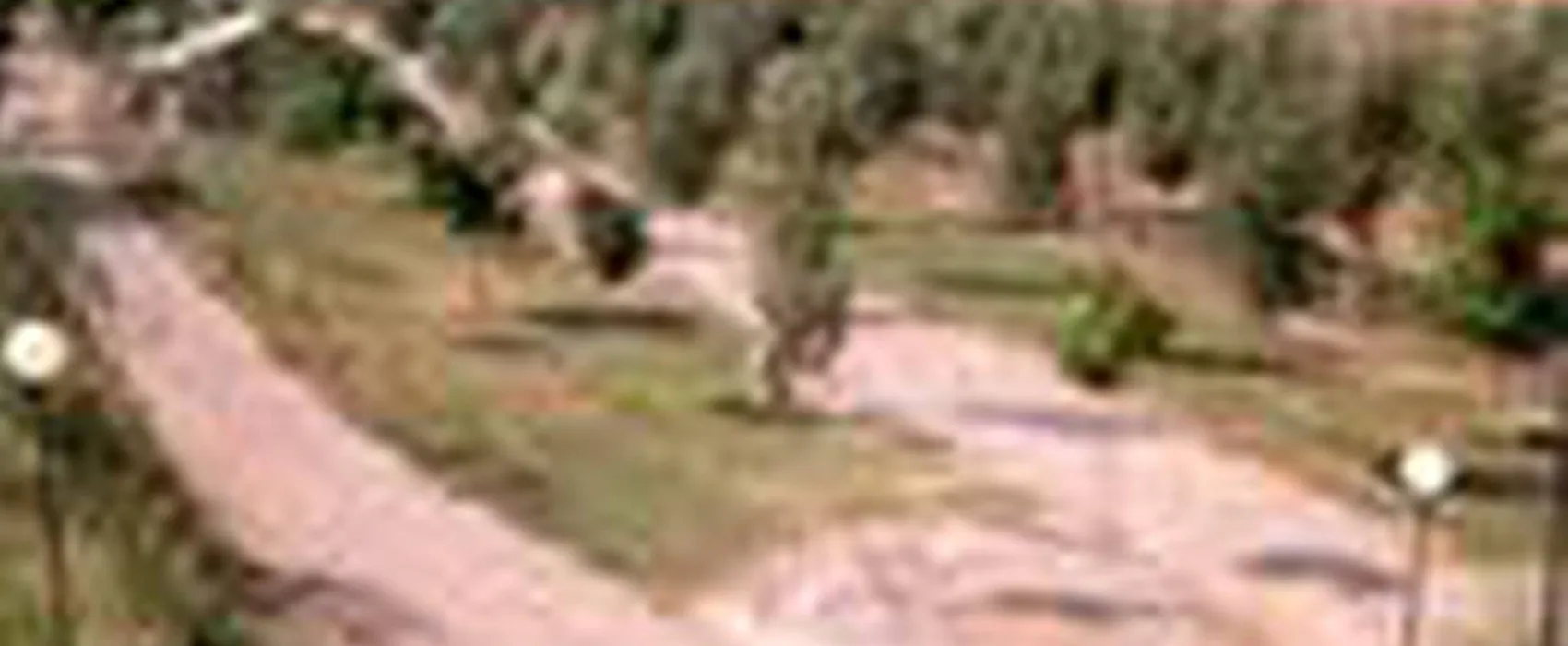 Camping la Banera