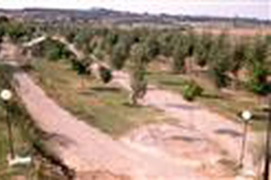 camping-la-banera-ayerbe-r5y5c