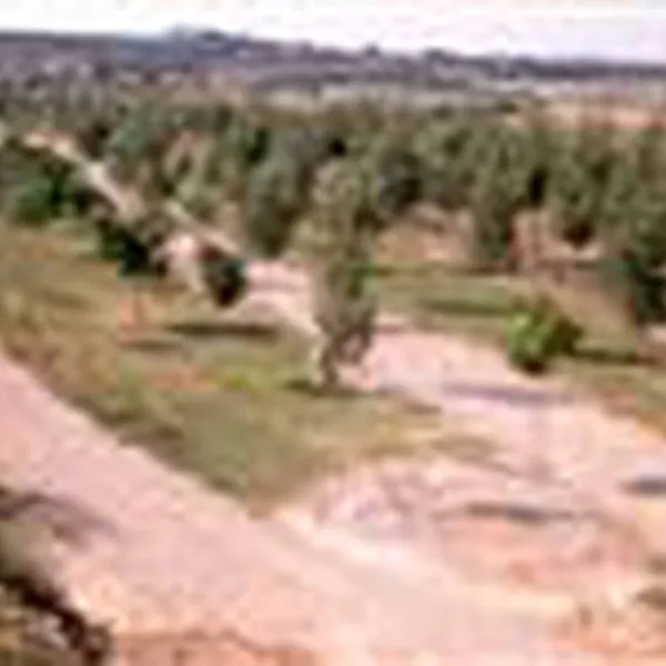 camping-la-banera-ayerbe-r5y5c