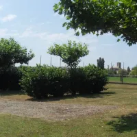 camping-municipal-le-bertranon-lavit-iucx9