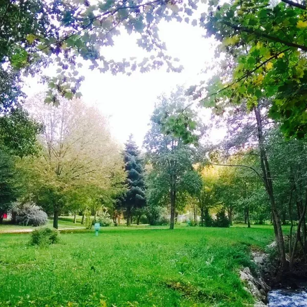 camping-municipal-la-duzonne-alboussiere-5euo0