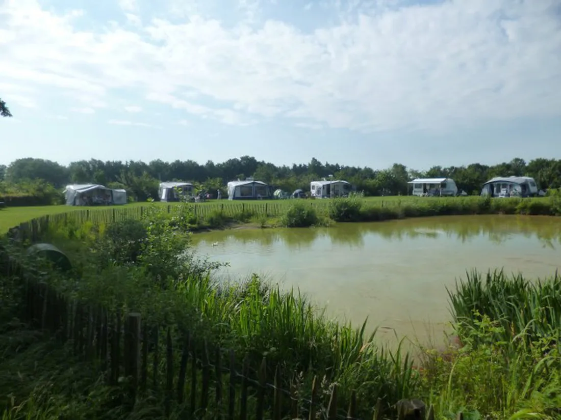 boszicht-wilbertoord-z8q1r