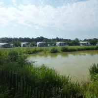 boszicht-wilbertoord-z8q1r
