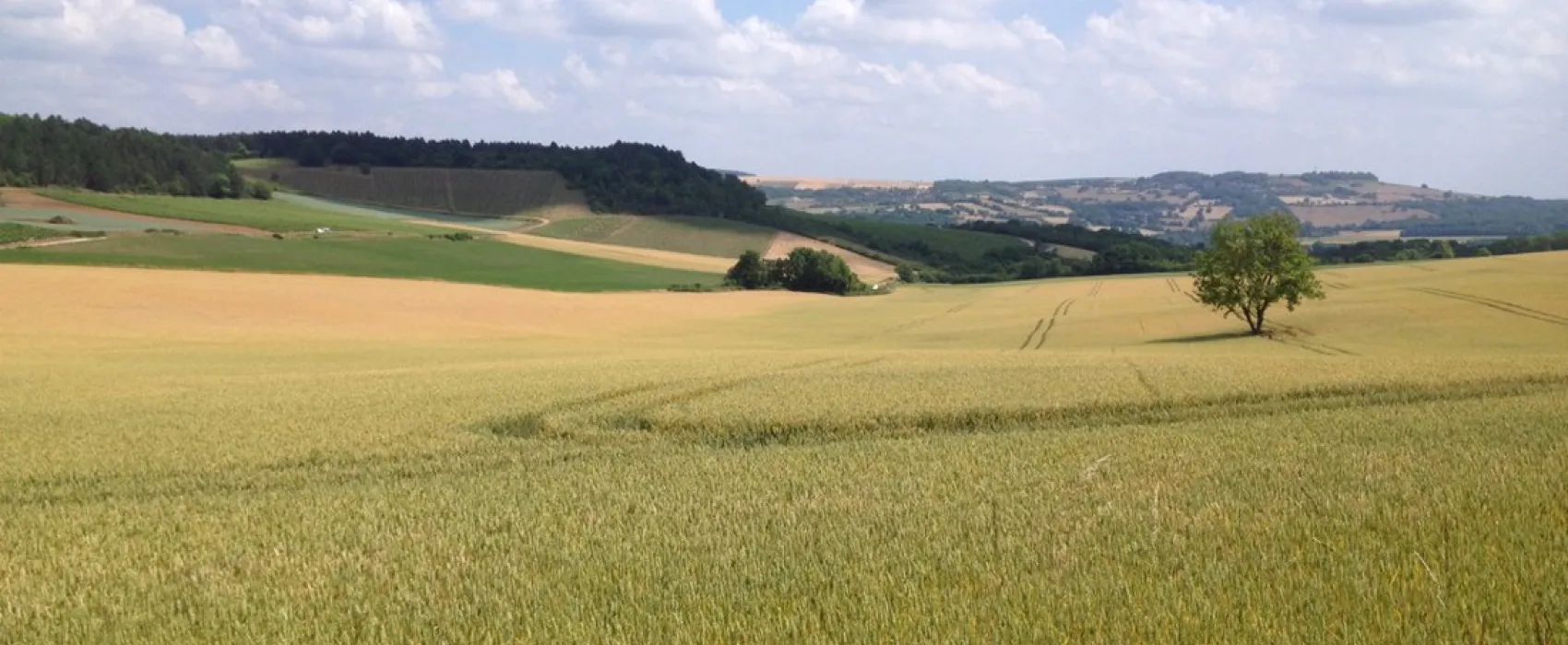 L'Ermitage