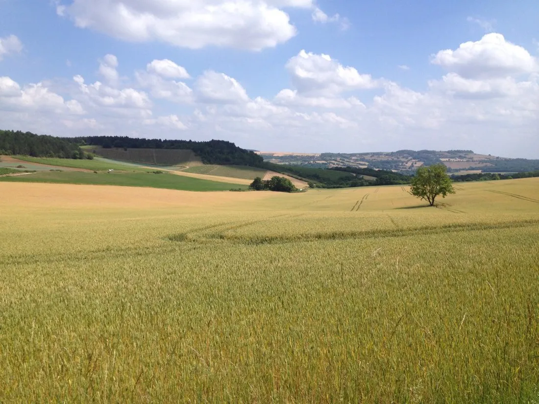 lermitage-vezelay-crtsx