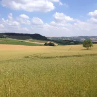 lermitage-vezelay-crtsx