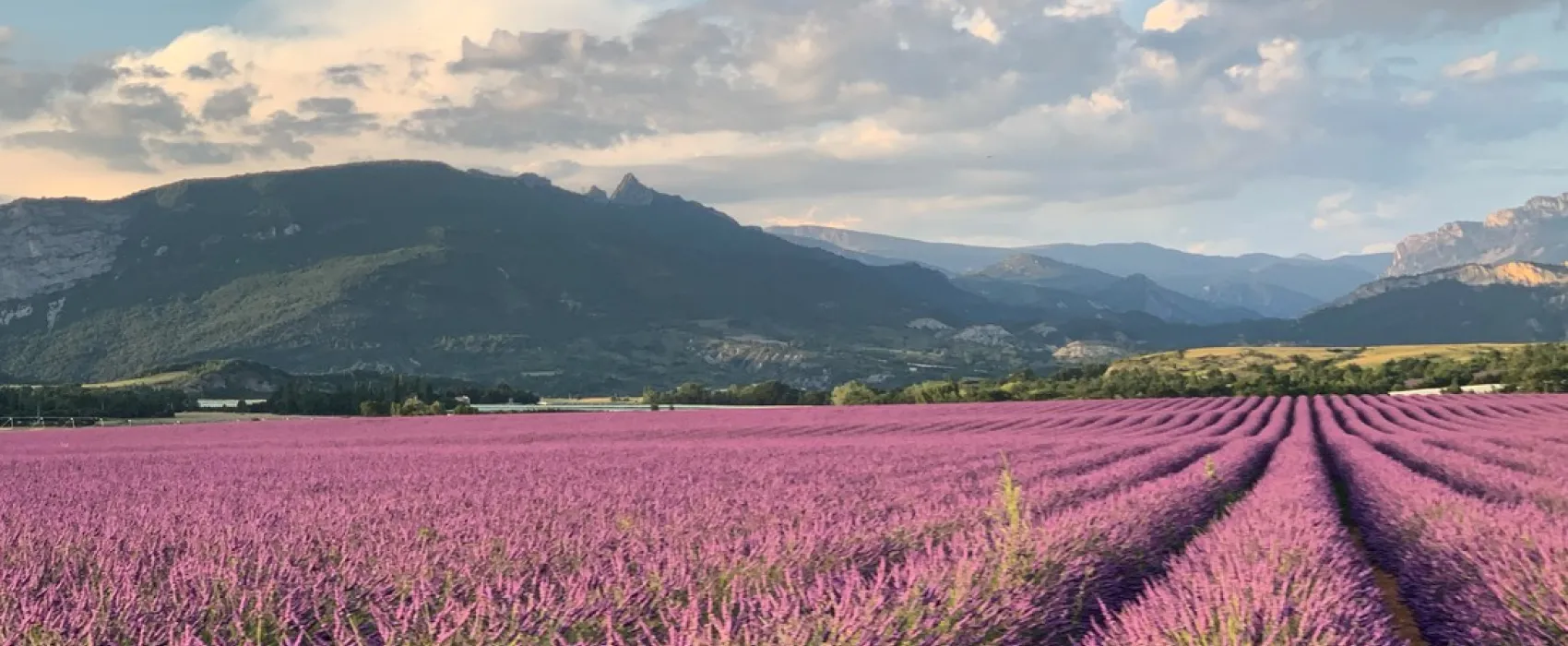 Le Jas du Moine