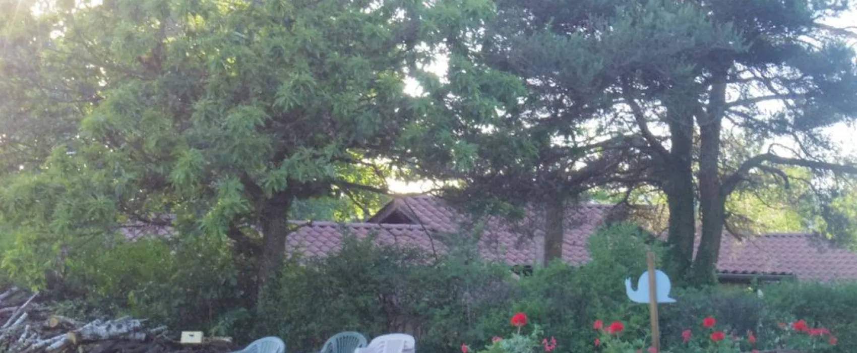 Camping Domaine Du Grand Bois