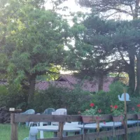 camping-domaine-du-grand-bois-tupin-et-semons-sauxm