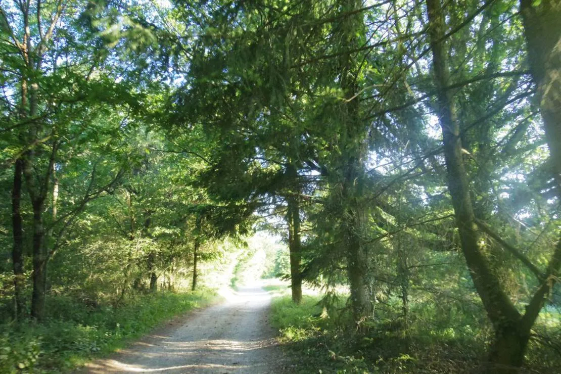 camping-domaine-du-grand-bois-tupin-et-semons-unuil