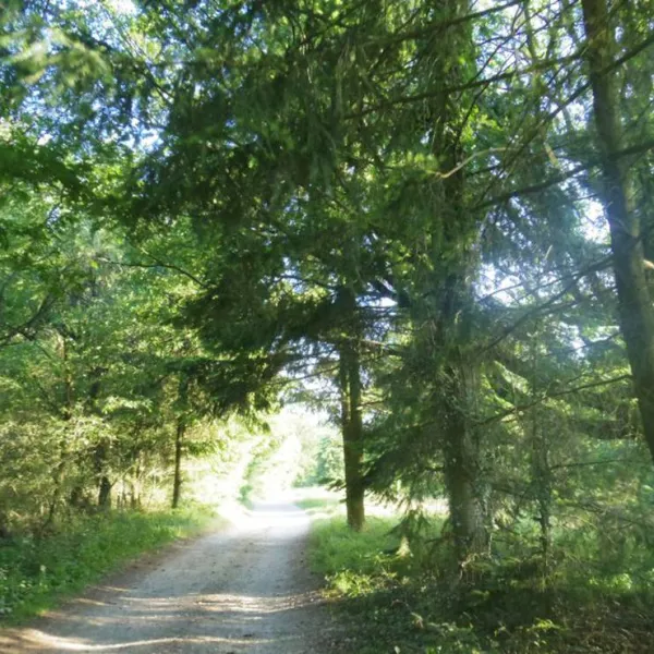 camping-domaine-du-grand-bois-tupin-et-semons-unuil