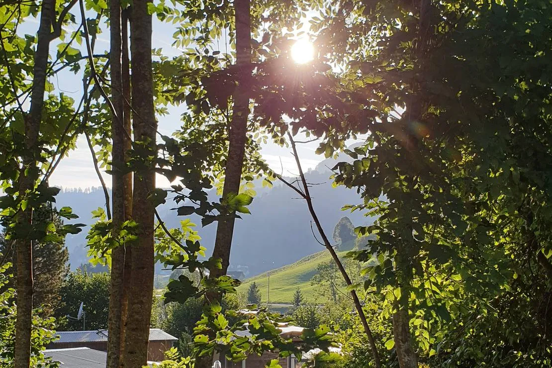 camping-atzmannig-goldingen-emwzy